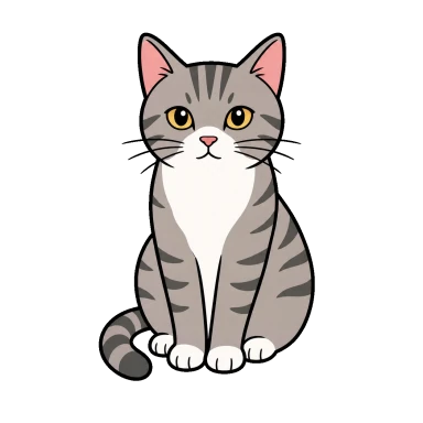 Katze
